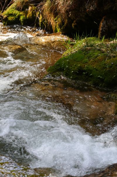 Datei:Feisterbach 57306 2008-04-17.jpg