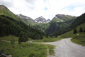 Gumpental 49570 2017-06-09.jpg