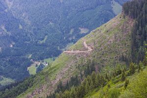 Hoferlehen mittereggtal-1000-2014-06-18.jpg