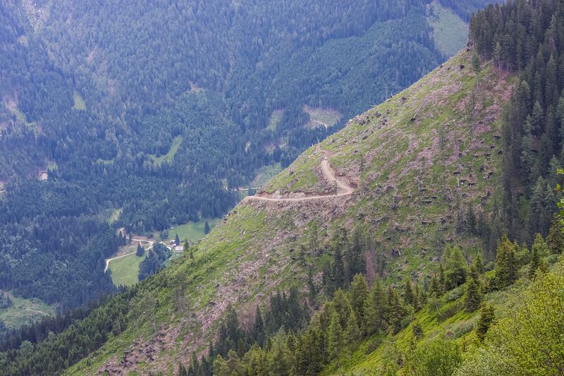 Datei:Hoferlehen mittereggtal-1000-2014-06-18.jpg