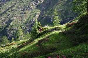 Im Hüttkar 39491 2012-06-29.jpg