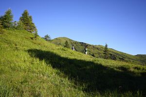 Klockalm 57751 2015-07-11.jpg