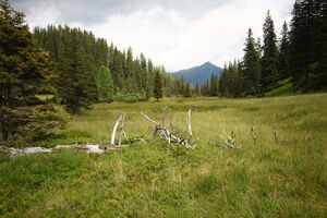 Knallkar großsölk 55664 2016-08-17.jpg