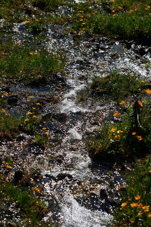 Obertalbach keinprecht 0545 2008-06-01.jpg
