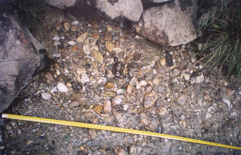 Datei:Schutt im Brunnkarl Wiesalm.jpg