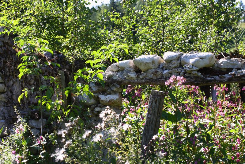 Datei:Stallbauer rössing 98982 2015-08-26.jpg