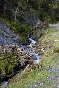 Stubegggraben-0020-2021-05-24 07.23.12.jpg