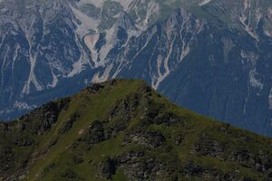 Bärfallspitze planaiHW 0984 2011-08-11.jpg