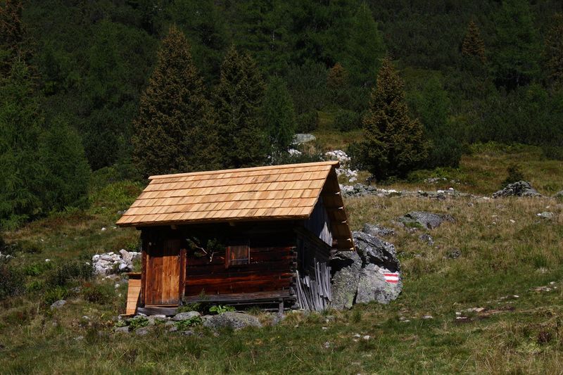 Datei:Lassachalm (Alm) 02547 2015-08-28.jpg