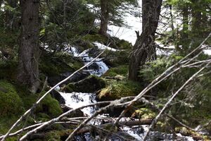 Strickerkar 55739 2014-05-02.jpg