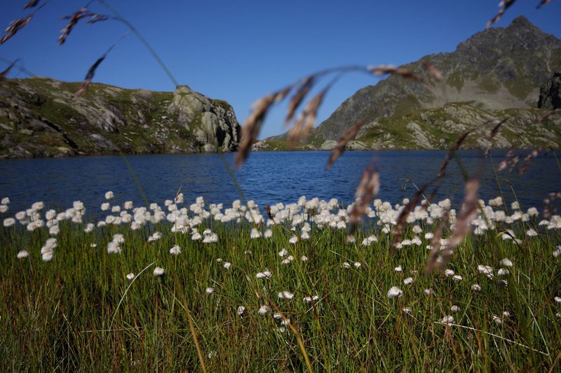 Datei:Wildlochsee 35725 2011-08-23.jpg