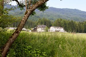 BH stritzlberger schattseite-0737-2023-06-16.jpg