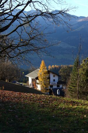 Burgstaller 13340 2015-11-11.jpg