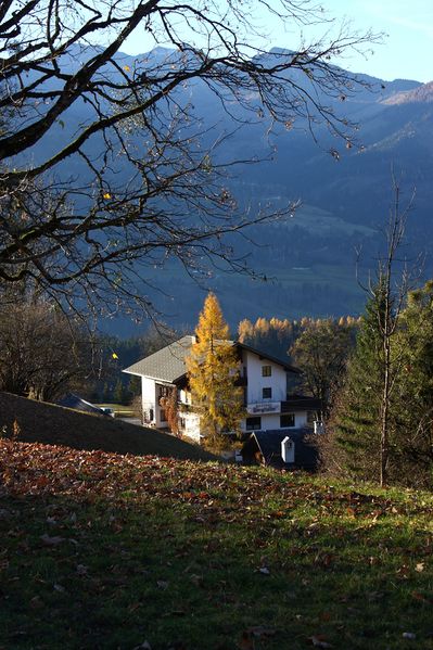 Datei:Burgstaller 13340 2015-11-11.jpg