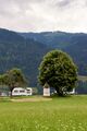 Camping Pürcherhof mitterberg 21-0433-2023-07-17.jpg