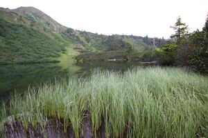 Finsterkarsee 1161 13-07-12.jpg