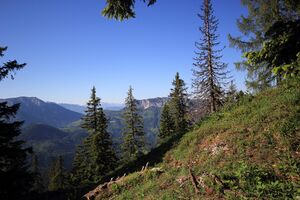 Gößlalm grundlsee 77570 2018-06-04.jpg