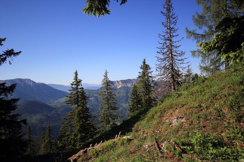 Datei:Gößlalm grundlsee 77570 2018-06-04.jpg