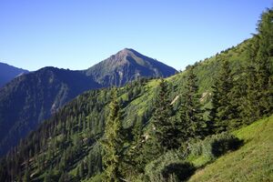 Hopfgarteneben 94863 2015-07-11.jpg