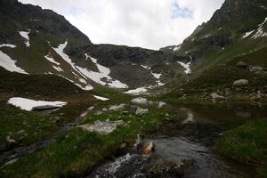 Im wildkar 23619 2008-06-26.jpg