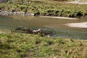 Kleinsölkertal 73482 2014-10-03.jpg