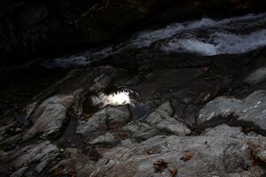 Säusenbach kleinsölk 73590 2014-10-03.jpg