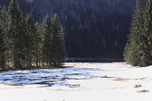 Spechtensee 62943 2017-10-31.jpg