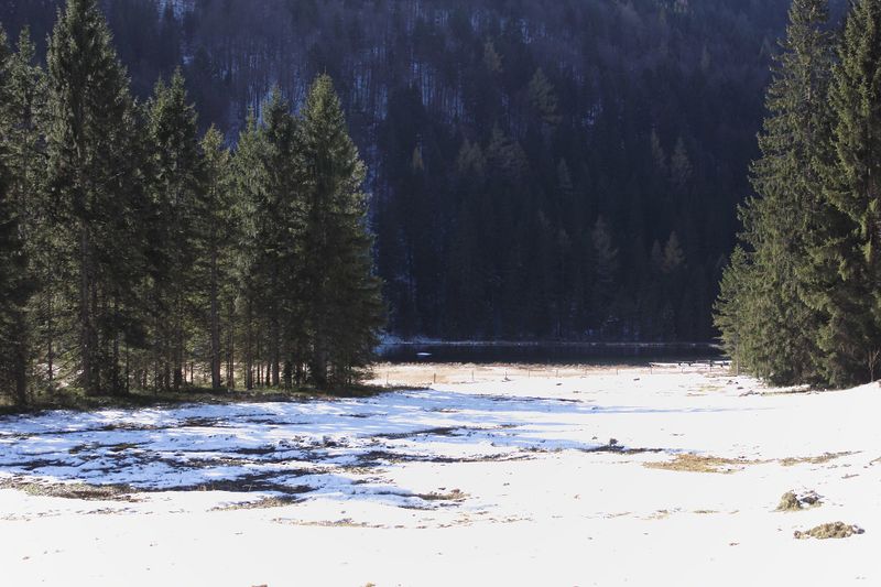 Datei:Spechtensee 62943 2017-10-31.jpg