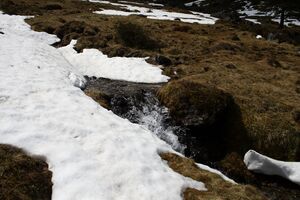 Strickerkar 55688 2014-05-02.jpg