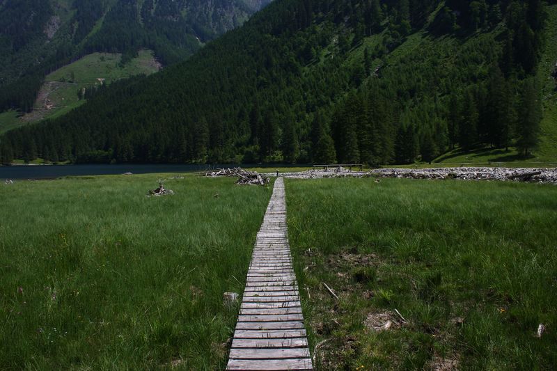 Datei:Wasserschaupfad kleinsölk 4985 13-06-20.jpg