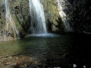 Wsf lessern mühlbach 58130 2014-05-16.JPG