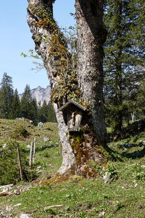 Bildstock Sulzkaralm-1001-2021-06-05.jpg
