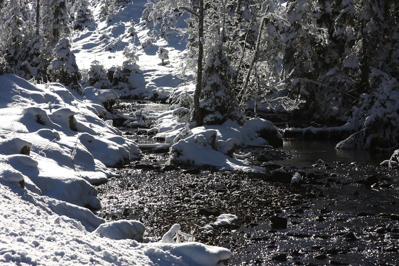 Datei:Bodenseerbach 26732 2014-01-01.jpg