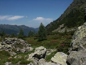 Eiskar 3617 2005-07-04.JPG