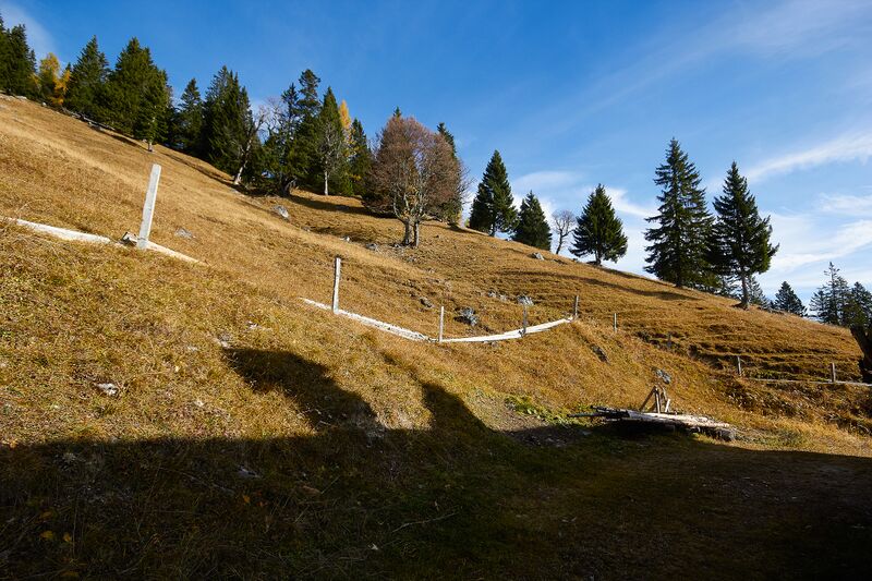 Datei:Forchneralm-0026-2021-10-31.jpg
