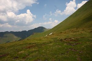 Glatt 1187 13-08-06.jpg