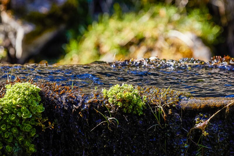 Datei:Granglalm steinriesental-17-2020-04-06.jpg