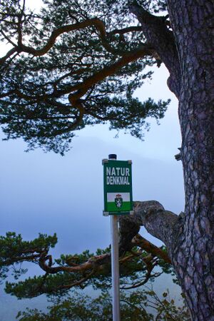 Grundlsee-See 77665 2014-11-03.jpg