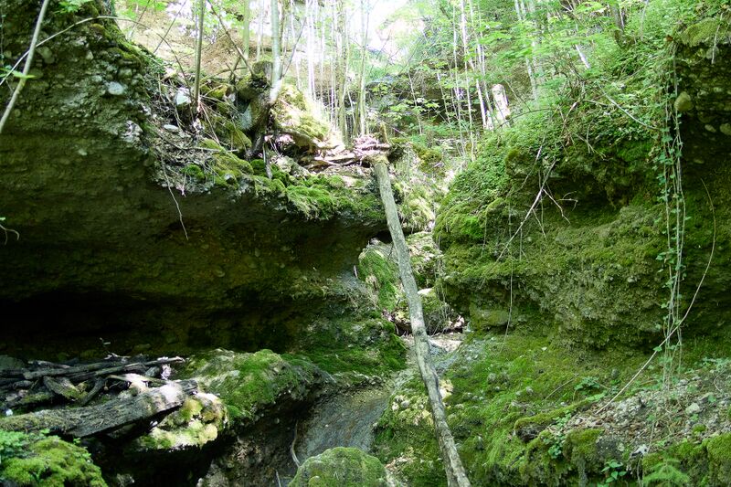 Datei:ND 356 Teichenbach Unterkainisch-0221-2025-05-01.jpg