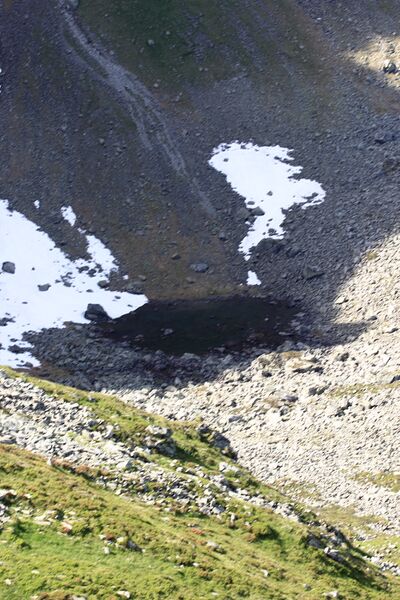 Datei:See nördl zwiesling.jpg