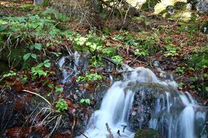 Siebenbrunnen toplitzsee 78194 2014-11-03.jpg