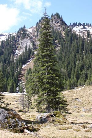 Strickerkar 55625 2014-05-02.jpg