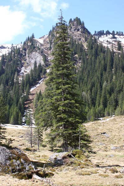 Datei:Strickerkar 55625 2014-05-02.jpg