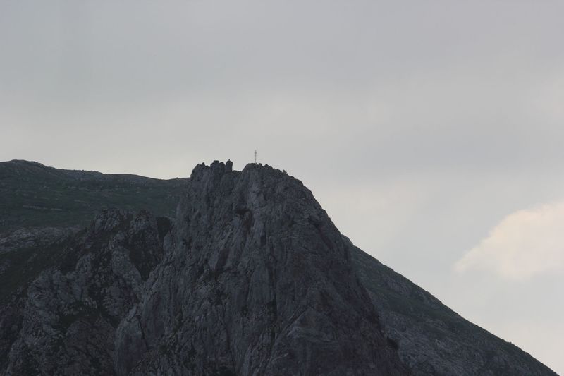 Datei:Sturzhahn-traweng 51280 2017-06-24.jpg