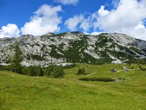 Tauplitzalm, Traweng01.JPG