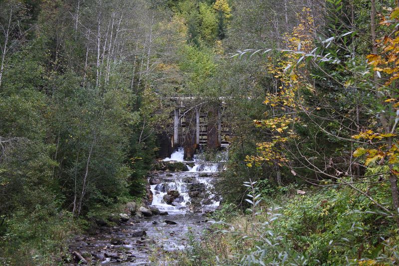 Datei:Teufelsschlucht Seewigtal 73289 2014-10-02.jpg