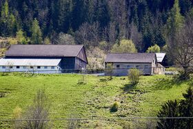 Vlg Haberer lassing-kirchdorf-1000-2023-05-04.jpg