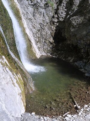 Wsf lessern mühlbach 58142 2014-05-16.JPG