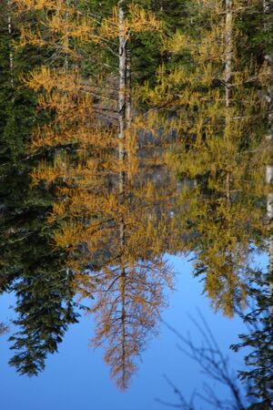 Ödensee 78079 2014-11-03.jpg