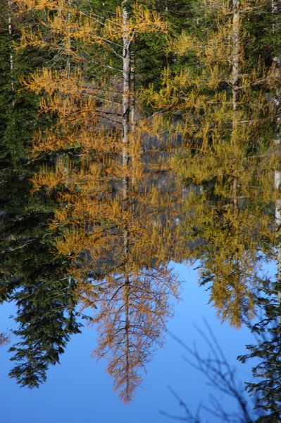 Datei:Ödensee 78079 2014-11-03.jpg